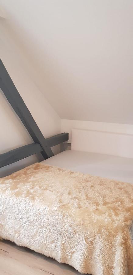 Joanna Apartment - Worms Bagian luar foto